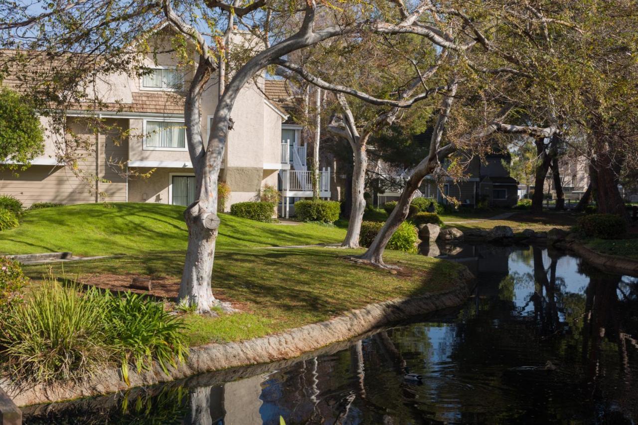 Silicon Valley I